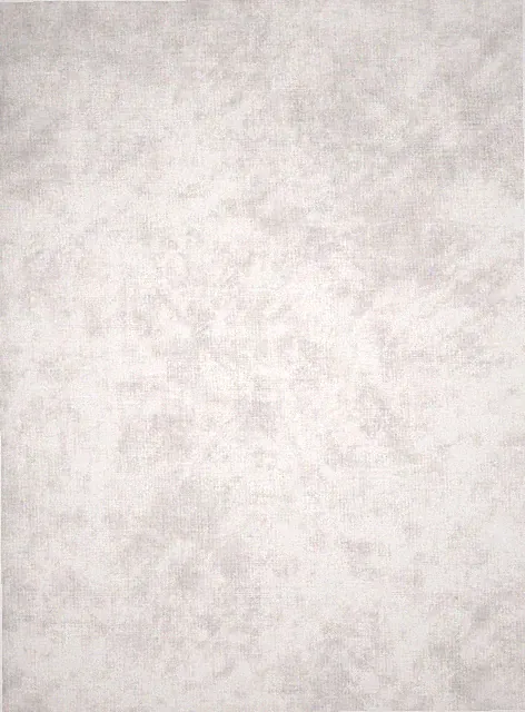 MDG - Grunge Paint - Lightest Gray Quilting and Crafting Cotton Fabric